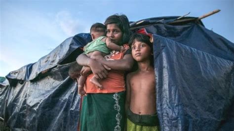 रोहिंग्या मुसलमानों के लिए नई मुसीबत बना बांग्लादेश का यह द्वीप Bbc