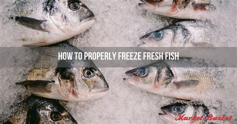 How To Properly Freeze Fresh Fish Market Basket