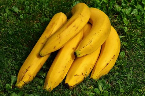 ¿a Qué Se Debe La Forma De Los Plátanos Frutas Y Hortalizas Verde