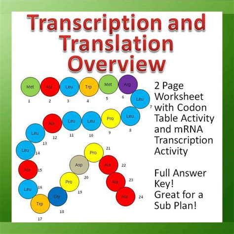 Coloring activity replication worksheet transcription sheet and from transcription and translation worksheet answer key , source:oasisescapes.co you have all your materials. Transcription and Translation Overview Worksheet