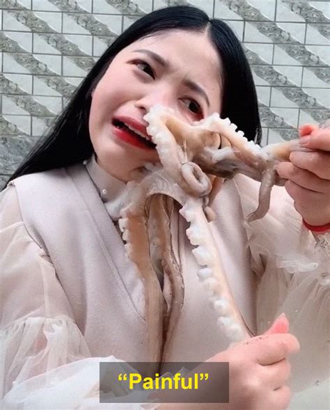 Octopus Attacks Woman That Tried To Eat It Alive Viral Content