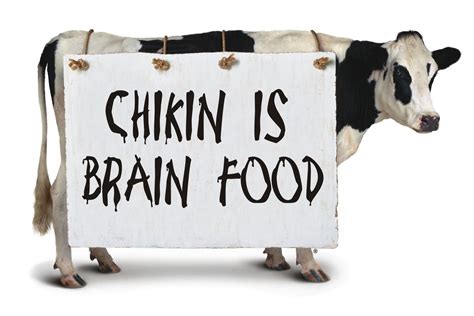 Chick Fil A Cow Clipart Clip Art Library Images And Photos Finder
