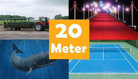 9 Things That Are About 20 Meters M Long