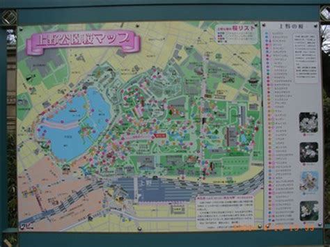 Japan, tokyo, special ward taitō, park ueno. Cherry Map in Ueno Park, Tokyo, JAPAN - 'You Are Here ...