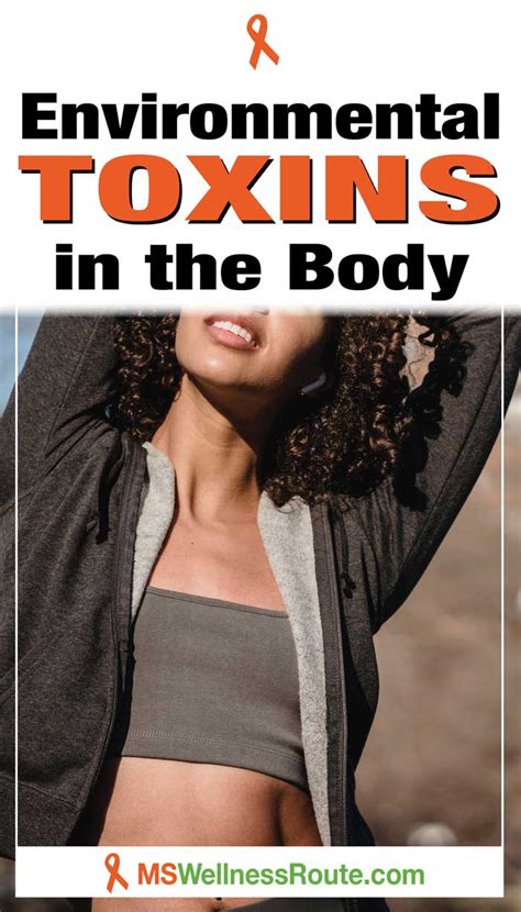 Environmental Toxins In The Body Ms Wellness Route