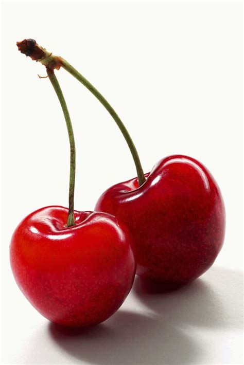 8 Common Types Of Cherries Popular Cherry Varieties To Know