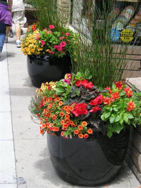 Mixed Containers Beautiful Color Combo For Black Planters Container