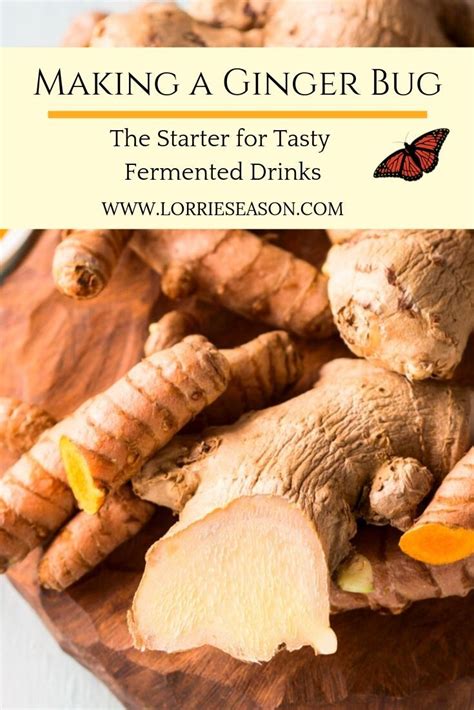 Making A Ginger Bug The Starter For Healthy And Tasty Natural Soda