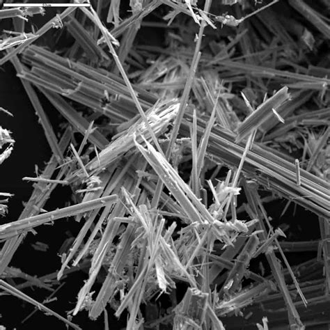 Asbestos Victims Will Get Less Time to File for Damages Under New Bill ...