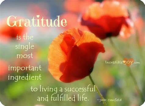 Gratitude Giving Thanks To God Garden Quotes Fulfilling Life