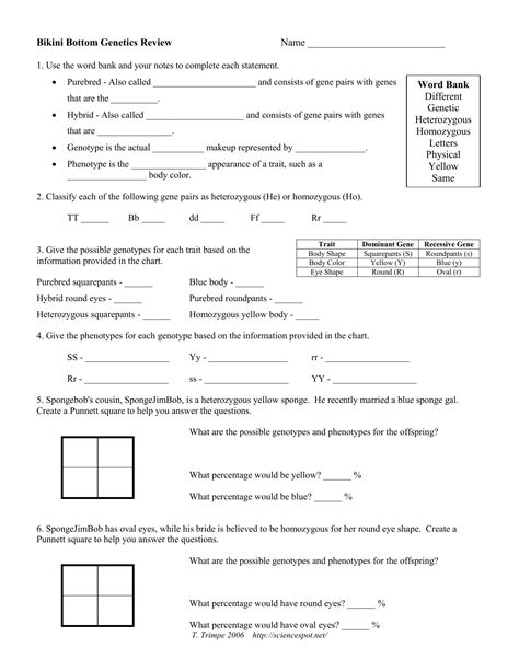 Spongebob squarepants genetics quiz page 3 of 5 formative assessment at the end of the lesson, students will create an exit ticket punnett square manipulatives will be checked during direct instruction, guided practice, and independent practice. spongebob: Spongebob Genetics Quiz Answer Key