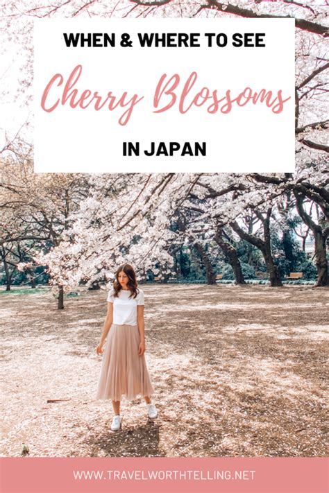 A Woman Standing In Front Of Cherry Blossom Trees With Text Overlay