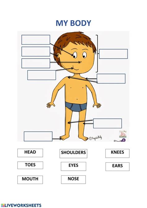Match body parts with actions you can do with them. MY BODY - Head Shoulders Knees and Toes - Interactive worksheet