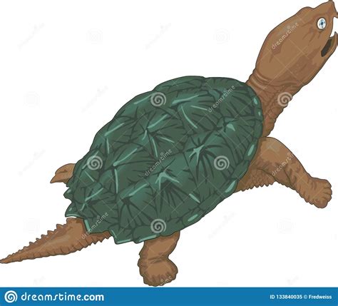 Snapping Turtle Illustration Stock Vector Illustration Of Snapper