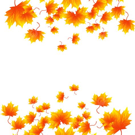 Fall Maple Leaves In Autumn Fall Maple Leaves In Autumn Fall Png And