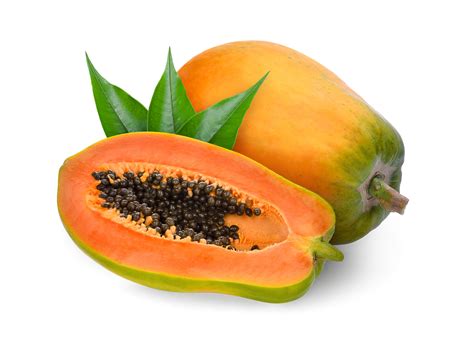 Papaya Tropical Imports And Exports
