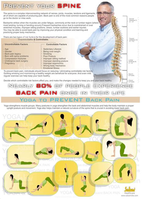 Prevent back pain Infographic | Prevent back pain | Back 