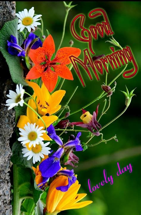 A Bouquet Of Flowers With The Words Good Morning Lovely Day Written In