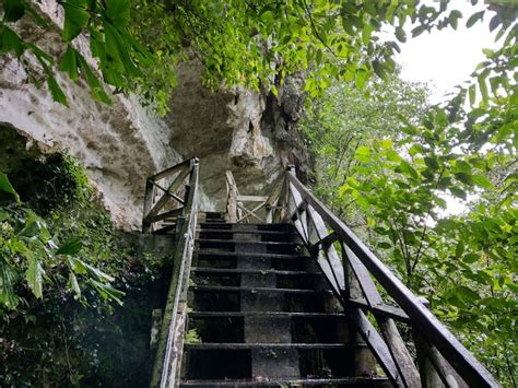 Niah National Park Explore Gua Niah Niah Caves Meowtainpeople