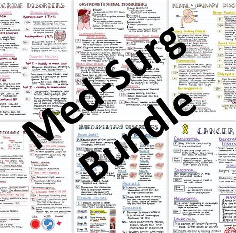 Med Surg Basics Med Surg Nursing Fundamentals Of Nursing Med Surg