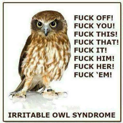 Pin By Margaret Hoffmann On Faves Owl Funny Funny Quotes