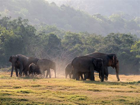 Blog Sri Lanka Wasgamuwa National Park ⋅ Natucate