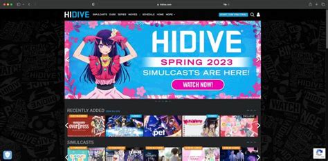 Must Read How To Download Hidive Videos Easily With Streamgaga Downloader