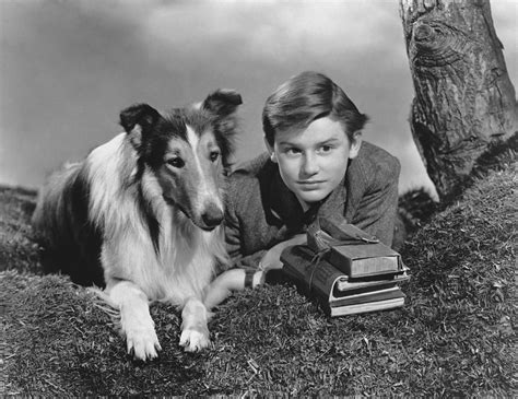 The Original Lassie Dog Pal Lived To Be Almost 20 And Came To Set