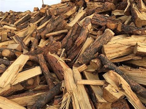 Pinon Pine Firewood