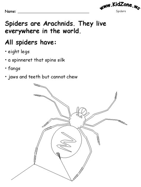 Spinning Spiders Numbers Worksheet