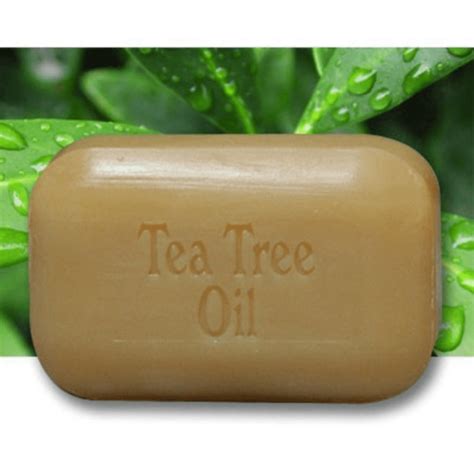 Soap Works Tea Tree Oil Soap 110 G Good Nature Health Foods