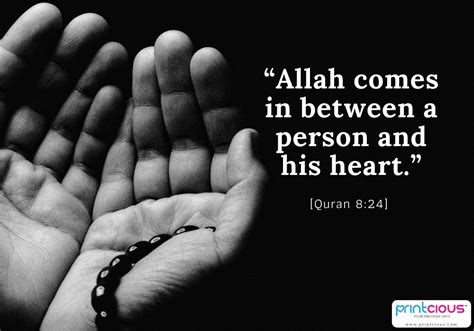Best Islamic Quotes From Quran