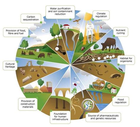 B7 1 Sustainable Soil And Land Management And Climate Change