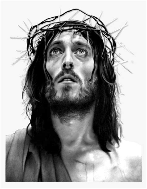 Jesus Face Png 12105 Transparent Png Illustrations And Cipart