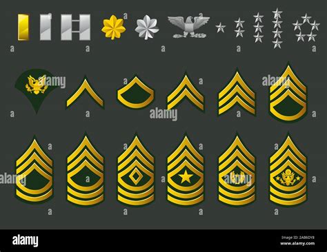 Ranks And Insignia Of The Us Army Military Ranks Army Ranks Army Momcute