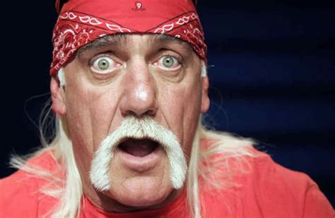 Multimillonaria Indemnización Para Hulk Hogan Por La Difusión De Su Video Sexual