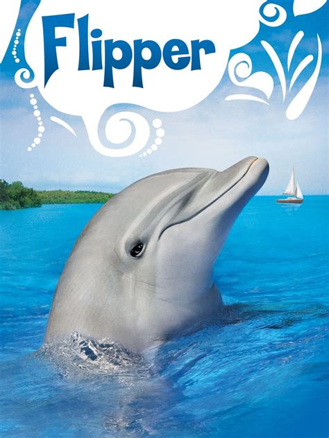 Flipper Tv Show News Videos Full Episodes And More Tv Guide