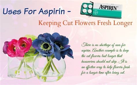 Here's how to keep them fresh like new ones by following ensuring fresh cut flower vitality is by selecting the proper display location for your arrangement. 10 Amazing Uses For Aspirin You May Not Know