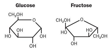 Is Fructose A Key Player In The Rise Of Chronic Health Problems The
