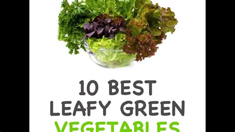 10 Best Leafy Green Vegetables Youtube
