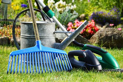 Garden Tool Selection Guide How To Choose The Right Garden Tools