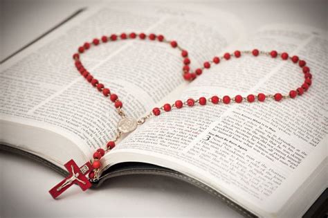 Bible And Rosary Stock Photo Image Of Pray Scripture 8371570