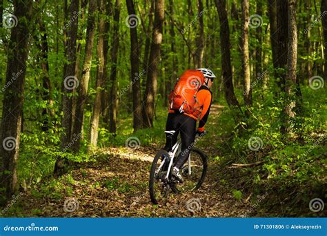 Cyclist Riding The Bike On A Trail In Summer Forest Stock Photo Image