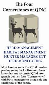 Quality Deer Management Photos