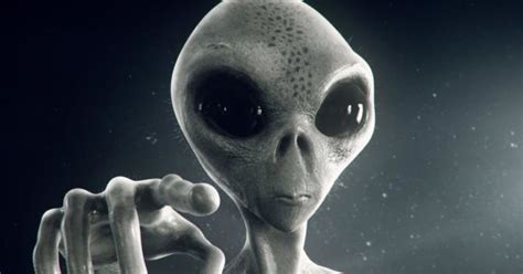 Сигурни уивер снова в логове ксеноморфов. Do you believe that ALIENS exist? - GirlsAskGuys