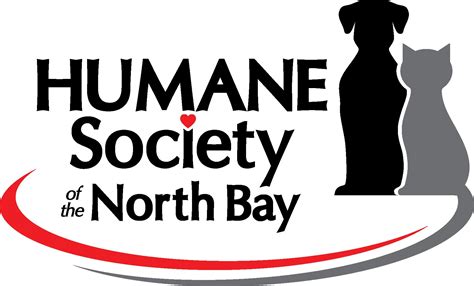Hannah the pet society is a comprehensive veterinary care,training and behavior support company. Pets for Adoption at Humane Society of the North Bay, in ...