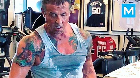 Sylvester stallone was born on july 6, 1946, in new york's gritty hell's kitchen, to jackie. Sly Stallone Workouts for Creed & Rambo | Muscle Madness ...