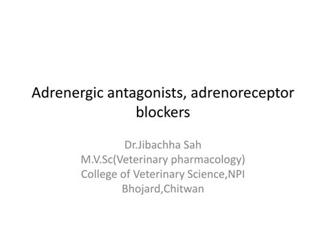 Pdf Adrenergic Antagonists Adrenoreceptor Blockers 2
