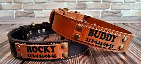 10 Best Personalized Dog Collars Of 2024 👉 Custom Dog And Puppy