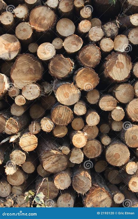 Pine Tree Logs Stock Photo Image Of Horizontal Logs 2193120